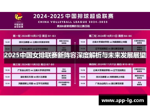 2025中国女排联赛新阵容深度解析与未来发展展望