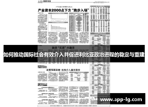 如何推动国际社会有效介入并促进利比亚政治进程的稳定与重建