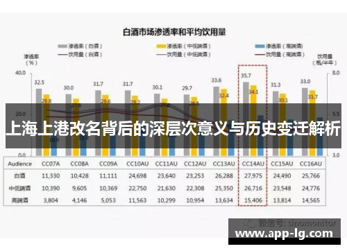 上海上港改名背后的深层次意义与历史变迁解析