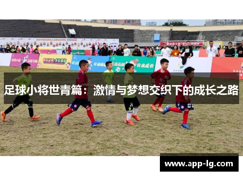 足球小将世青篇：激情与梦想交织下的成长之路