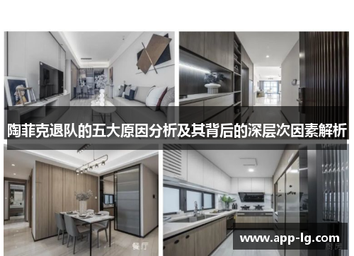 陶菲克退队的五大原因分析及其背后的深层次因素解析